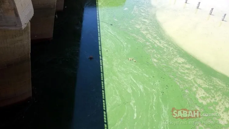 Baraj gölünde renk değişimi endişelendirdi
