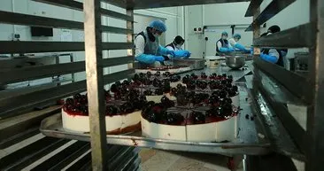 Pastayı dondurup 12 ülkeye ihraç ediyor