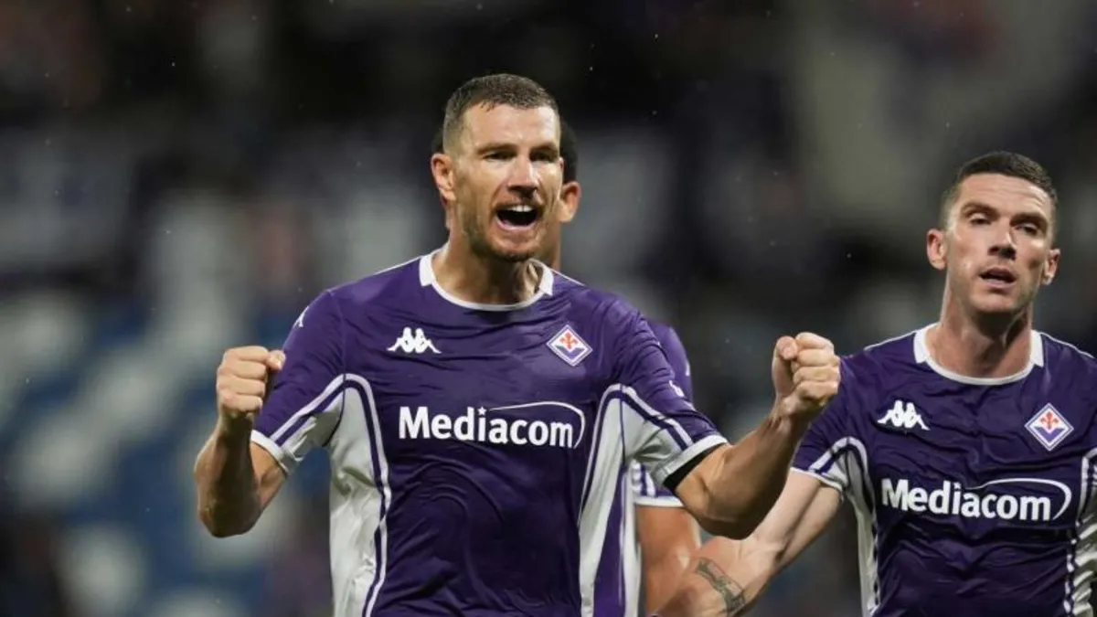 Schalke 04, Edin Dzeko'yu transfer etti