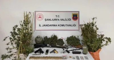 Şanlıurfa’da jandarmadan operasyon! 3 gözaltı #sanliurfa