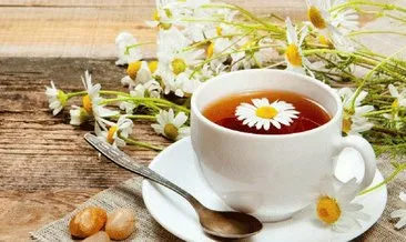 Papatya çayının faydaları nelerdir? İşte şifalı bitki papatya çayının insan sağlığına faydaları..