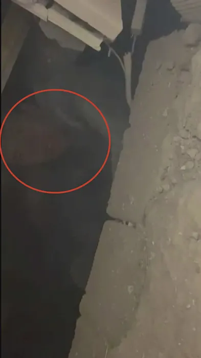 Enkaz altından saatler sonra kurtarıldı! AFAD görevlisine Abi hoş geldin diyerek gülümsedi! İşte o anlar