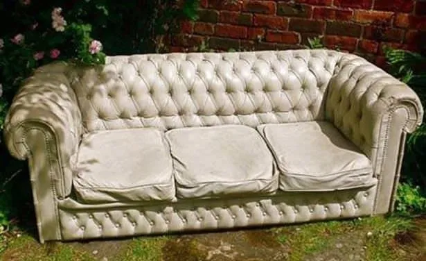 İşte dünyanın en ilginç kanepeleri