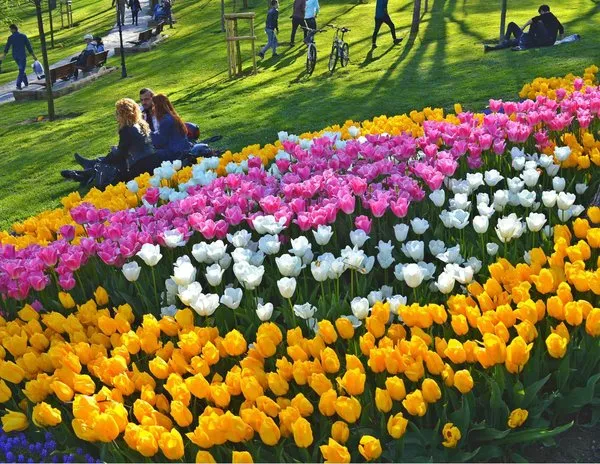 İstanbul'da lale devri!