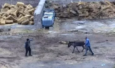 Kayseri’de eski ortaklar dehşet saçtı… Eşeği kesip, 5 atı zehirlediler #kayseri