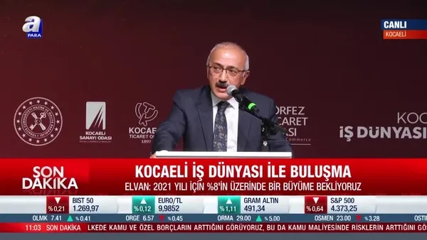 Hazine ve Maliye Bakanlı Lütfi Elvan: 2021'de Türkiye ekonomisi yüzde 8'in üzerinde büyüyecek