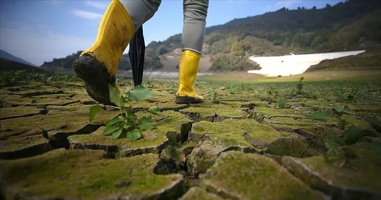 TÜİK açıkladı: Çevre koruma harcamaları 440 milyar TL’yi geçti