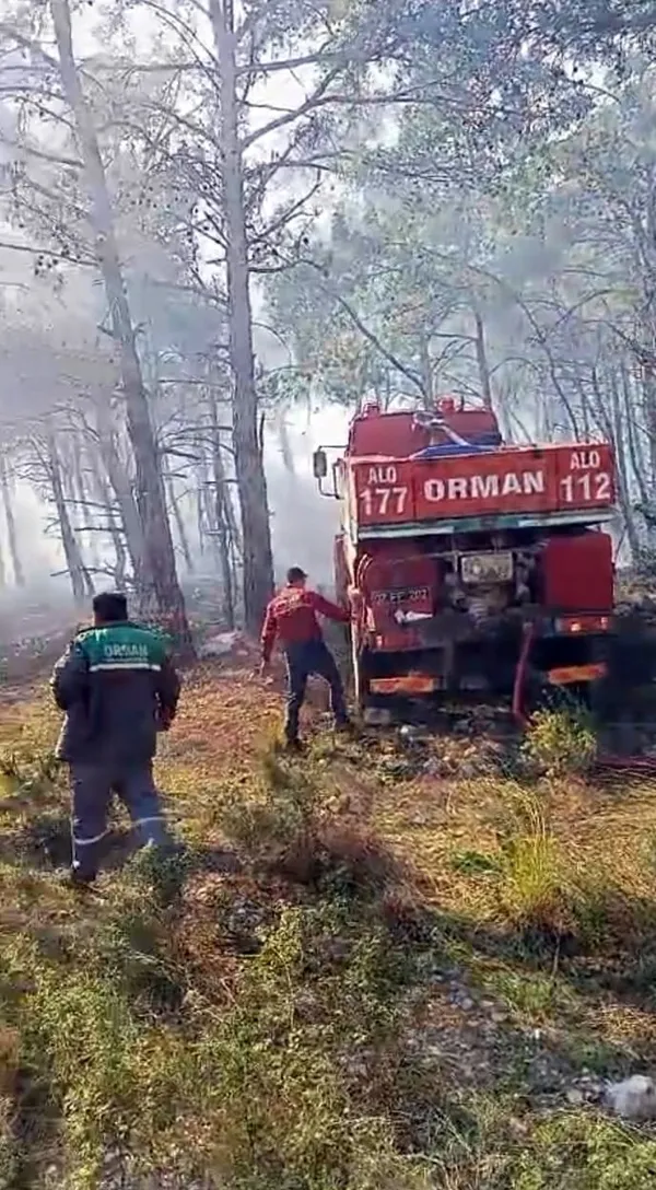 antalyada-orman-yangini-korkuttu-1738846904465.jpg