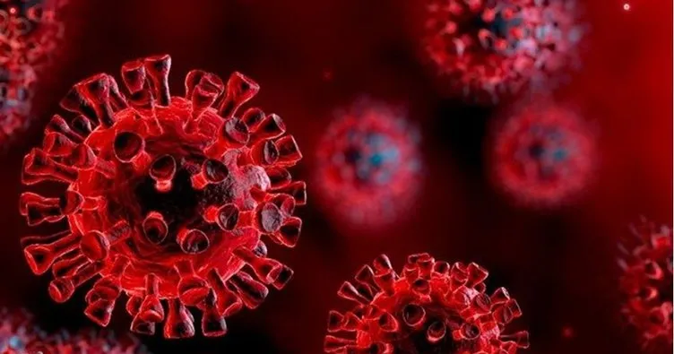 22 haziran koronavirus tablosu son dakika duyuruldu 22 haziran korona tablosu ile bugunku turkiye guncel vaka sayisi vefat sayisi verileri sayfa 2 son dakika haberler