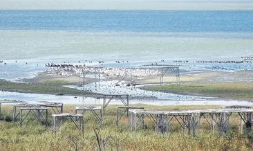 Kuş Cenneti’nde sessizlik