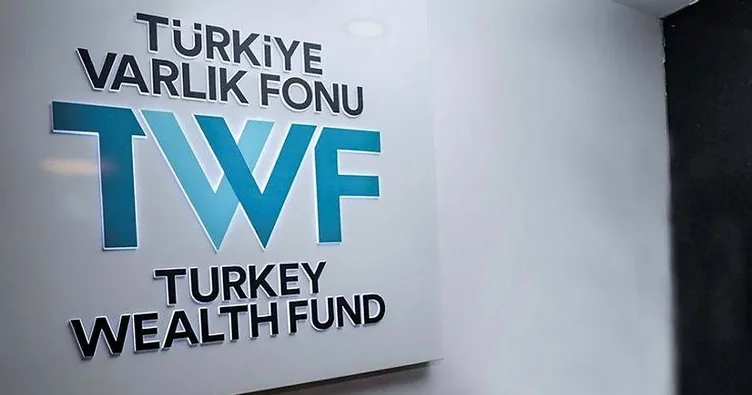 Son dakika: Türkiye Varlık Fonu Genel Müdürlüğüne Selim Arda Ermut atandı