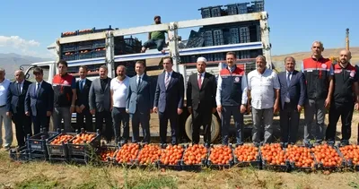 Bitlis’te domates hasadı başladı! Türkiye genelinde 7'nci sırada #bitlis