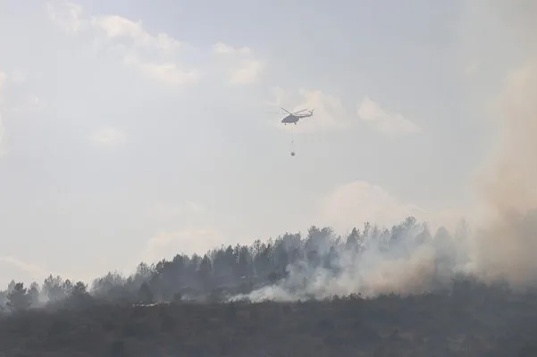 Bolu’da yangın 40 hektarlık alanda etkili oluyor