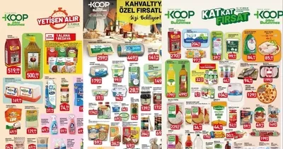 TARIM KREDİ’DE BÜYÜK FIRSATLAR✨Tarım Kredi Marketlerde 31 Aralık’a kadar: Yağ,çay,et,deterjanlar...