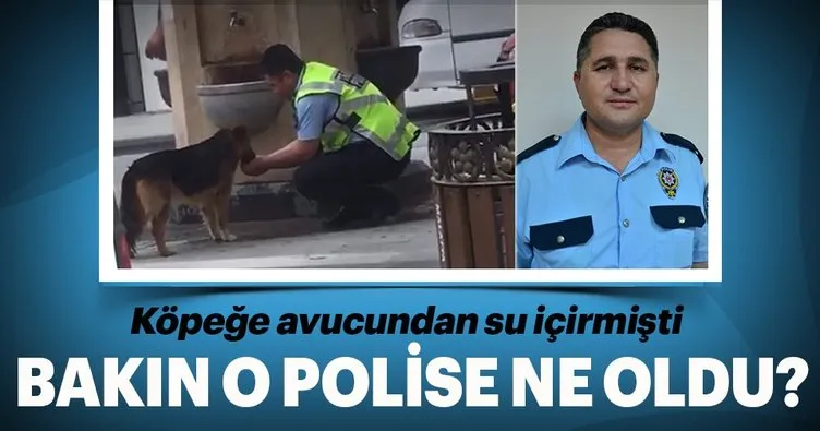 Köpeğe avucundan su içiren polise ne yaptılar?