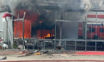 SON DAKİKA | Sakarya'da yangın paniği: Restoran alevlere teslim oldu! #sakarya