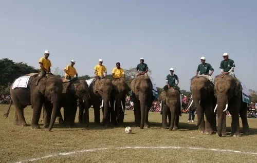 Filler futbol oynadı
