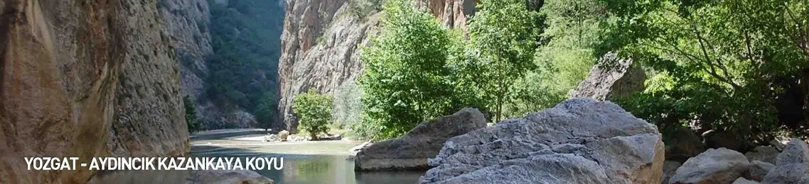 Yozgat Haber Son Dakika Yozgat Haberleri Guncel Haberler