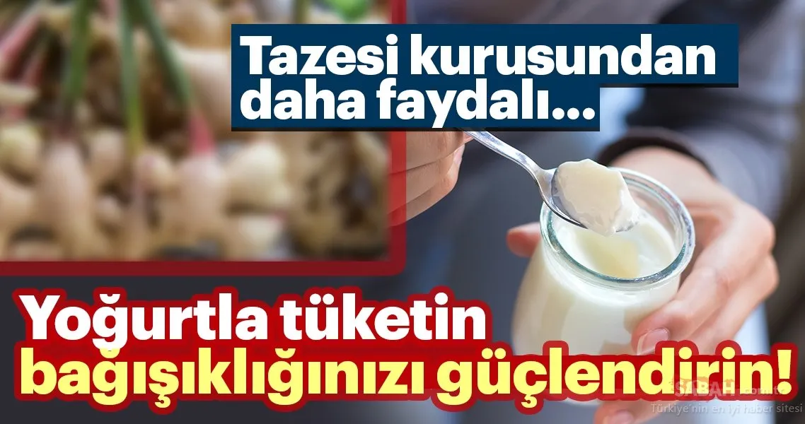 Yogurtla Tuketin Bagisikliginizi Guclendirin Iste Bagisikligi Guclendiren Muthis Besinler Son Dakika Haberler