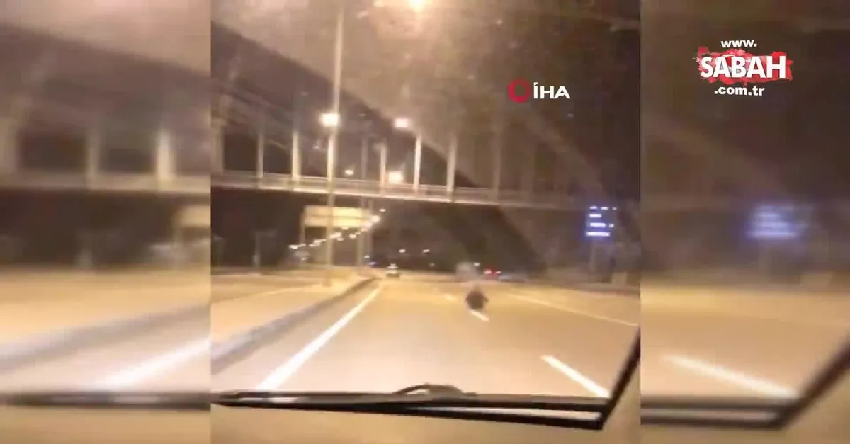 Istanbul Canakkale Karayolunda Yol Ortasina Akilalmaz Olay Olume Davetiye Cikardi Video Videosunu Izle Son Dakika Haberleri