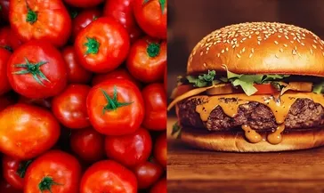 Hamburger tadında domates tasarlıyor!