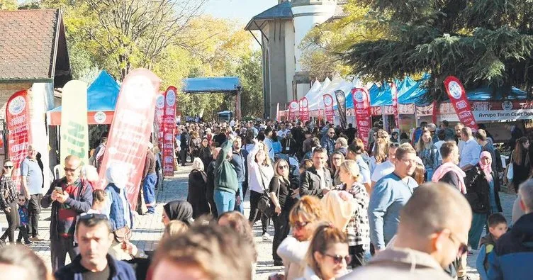 Gastronomi festivaline yoğun ilgi