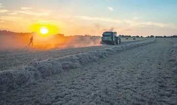 Her çiftçiye bir ‘ziraat koçu’
