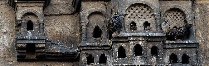 Osmanlı’da kuş sarayları