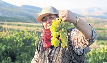 Sarıgöl’de üzümün faydaları anlatıldı