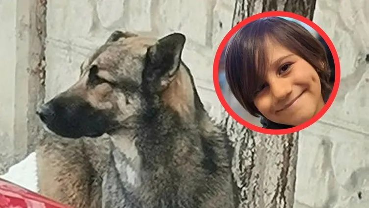 Van’da köpeğin saldırdığı çocuk ölmüştü! Amcası korkunç detayı açıkladı!