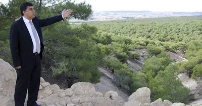 Şehitkamil yeşilleniyor