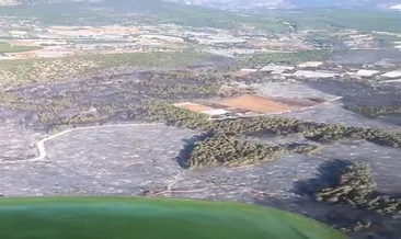 Muğla’daki orman yangını kontrol altına alındı
