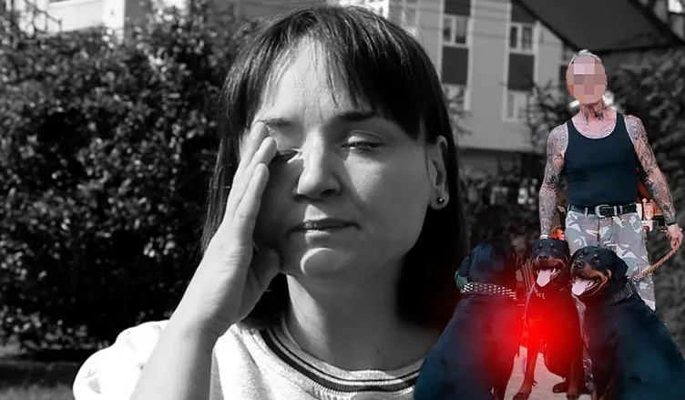 4 köpeğin saldırısına uğrayan köpek telef oldu: Sahibi ise yaralandı!
