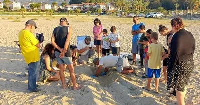 Kuşadası’ndaki yavru çıkışları tamamlandı #aydin Kuşadası’ndaki yavru çıkışları tamamlandı #aydin