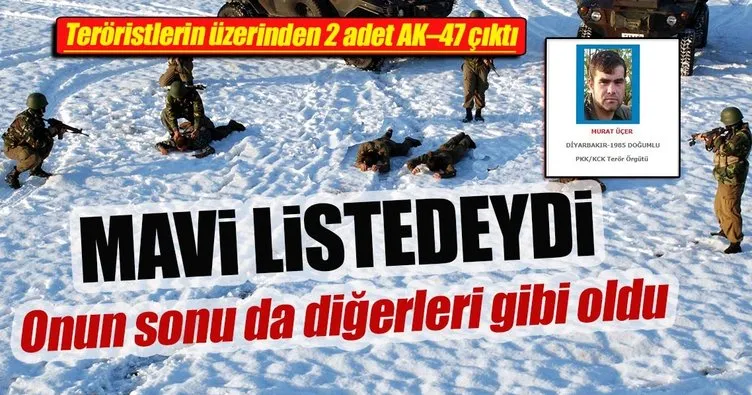 Biri mavi kategoride PKK'lı 4 terörist etkisiz hale getirildi