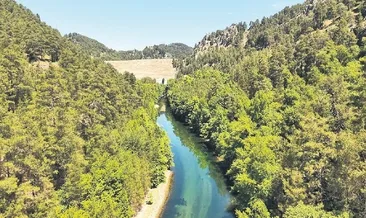 Milli parklar bayrama hazır