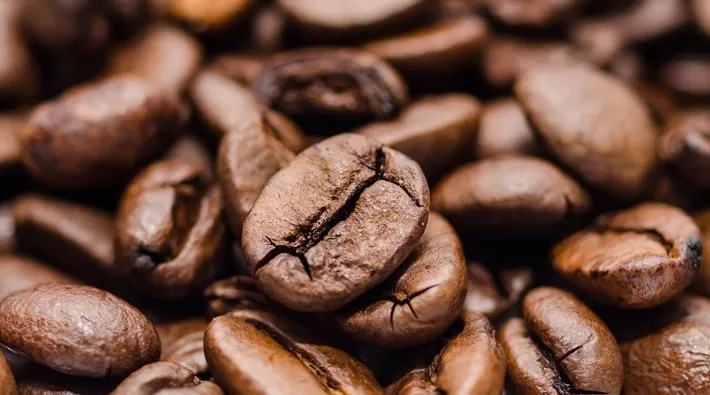 Kahveyi bekleyen büyük tehlike! Küresel ısınmayla tadı bozulacak