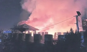 Altınok: Yangın Semerkant Sofrası’nda çıktı