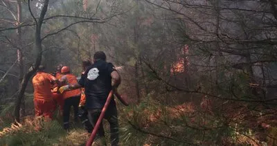 Devrek yangını kontrol altına alındı #zonguldak