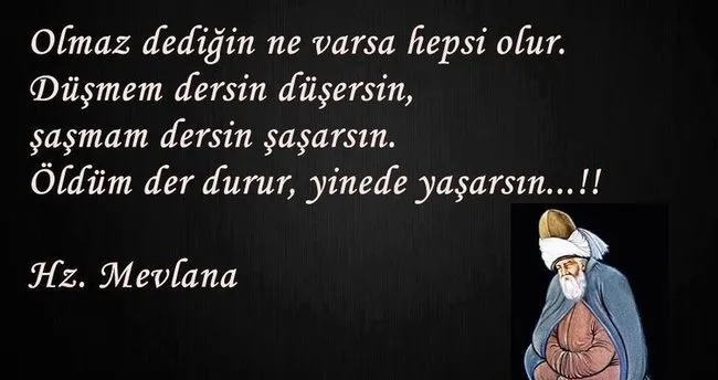 resimli mevlana celaleddin rumi nin