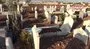 Adıyaman’da mezarlıkta şaşırtan görüntü | Video
