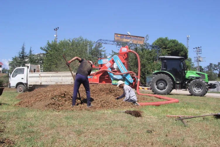 Bu işi yapan saatte 3 bin 500 TL kazanıyor: Yılda sadece 1,5 ay çalışıyorlar!