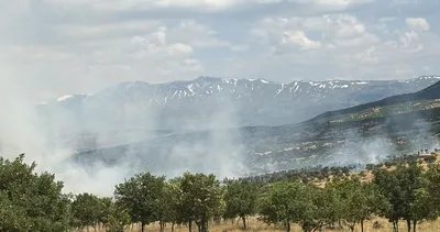 Bingöl'de orman yangını kontrol altına alındı #bingol