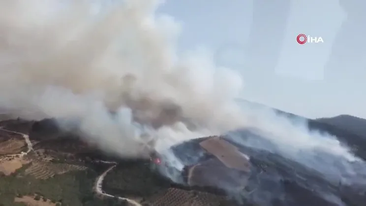 Manisa'da orman yangını