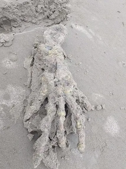 Korkunç elin gizemi! Görüntüler sosyal medyada infial yarattı