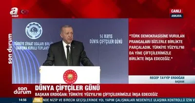 Başkan Erdoğan: Milletin aşına göz dikenlerden hesap soracağız | Video