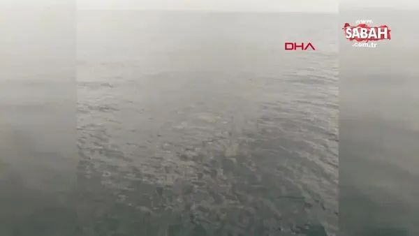 Adana'da balıkçılara balina şoku! 15 metrelik oluklu balina kamerada | Video