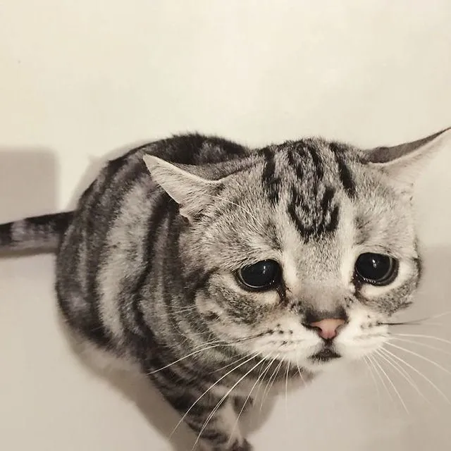 sabah