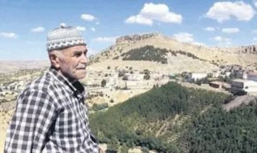 Çöplüğü 26 yılda ormana çevirdi #mardin Çöplüğü 26 yılda ormana çevirdi #mardin