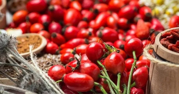 Kuşburnu Çayı Faydaları Nelerdir? Kuşburnu Çayının Faydaları Ne İşe Yarar, Nasıl Tüketilir?